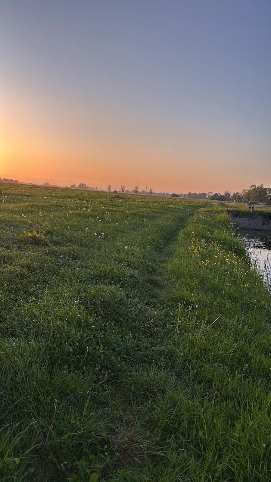 Bloemrijk weiland langs de vaart bij zonsondergang, met de Friese horizon in de verte